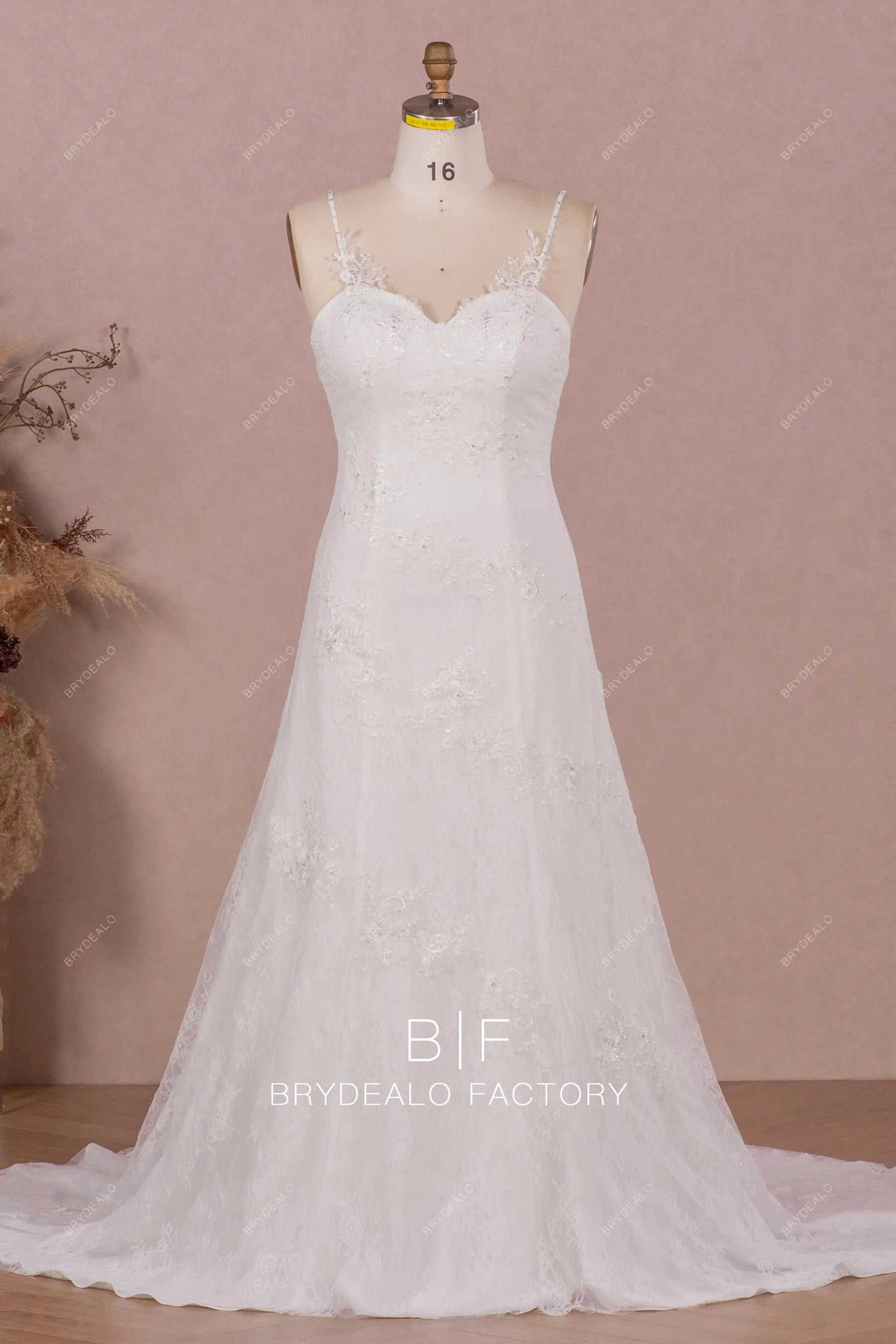 Plus Size Designer Lace Sleeveless Fit and Flare Elegant Wedding Dress