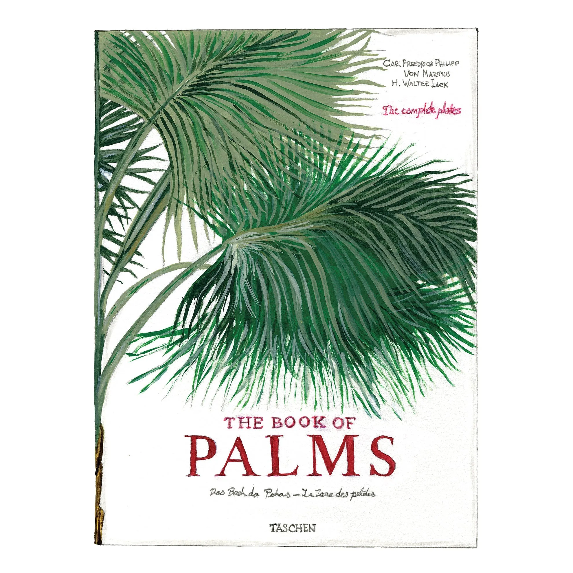 The Book of Palms