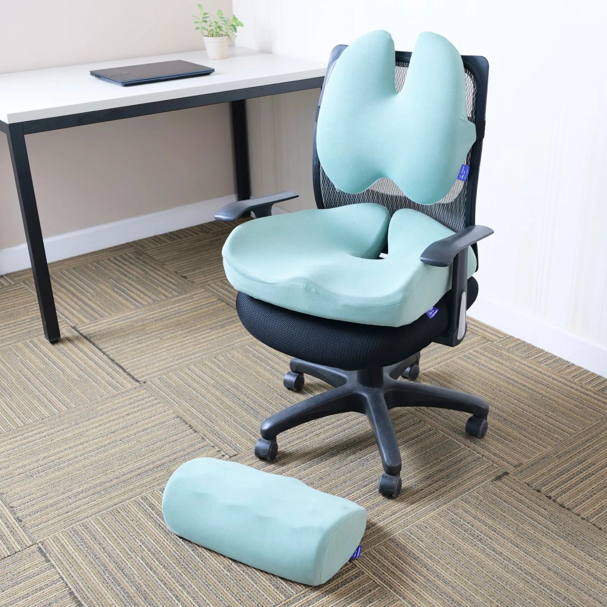 Ultimate Sitting Comfort Bundle